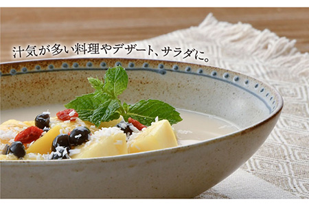【波佐見焼】ブロンズ オーバルボウル (ホワイト) 2点セット 食器 皿 【藍染窯】 [JC49]  波佐見焼