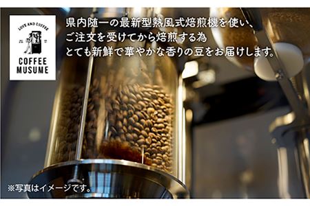COFFEE MUSUME オリジナルブレンド ムスメシグニチャー200g（粉タイプ）全6回定期便 コーヒー豆 【COFFEE MUSUME】 [TE06]