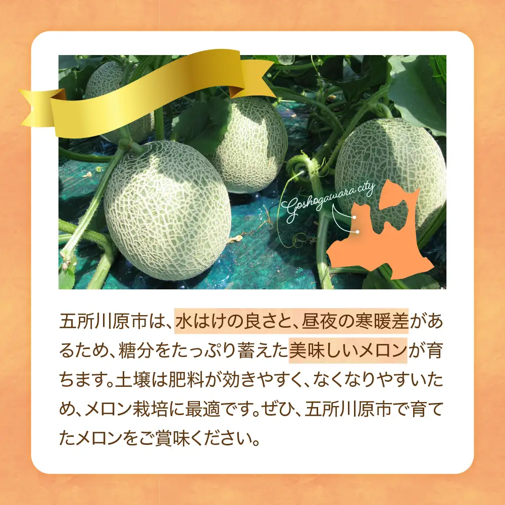 【8月上旬発送】 メロン 大玉 2玉 贈答用 青森県産 メロン
