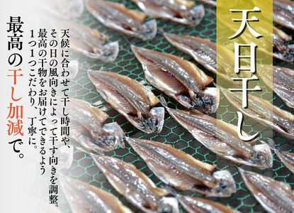 ひもの詰め合わせセット②　【 干物 】