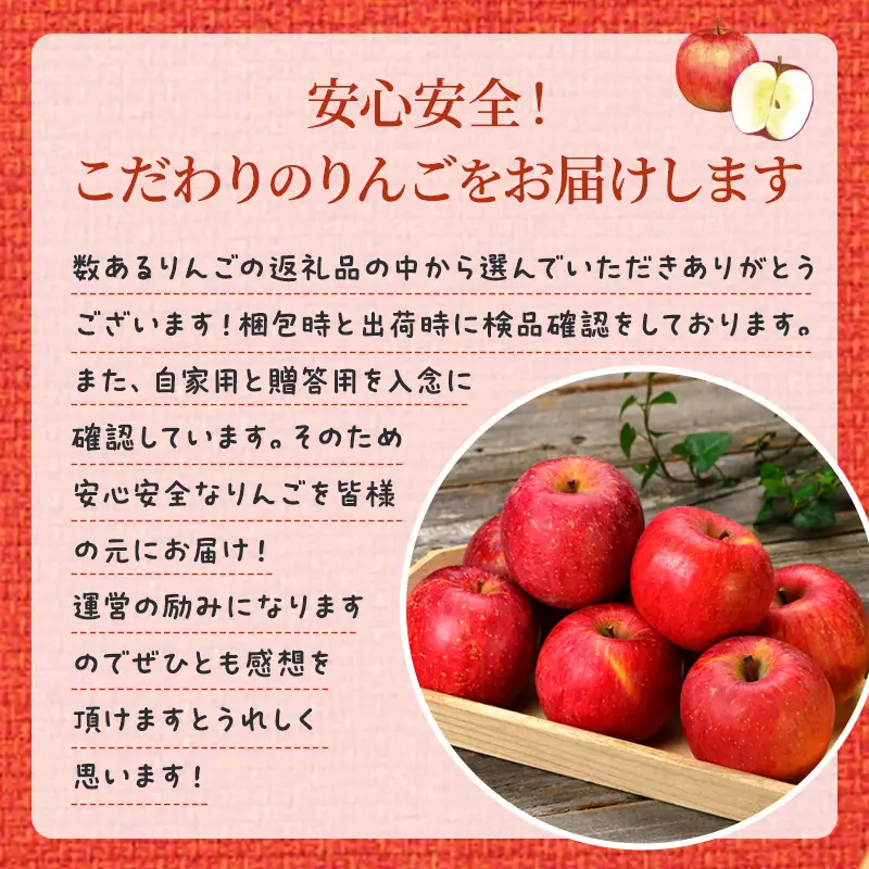 信州小諸 松井農園の秋映 約2kg 果物類・林檎・りんご・リンゴ