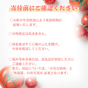 三須トマト農園 宝石箱セット 約1.8kg 船橋産 産地直送 ミニトマト ギフトボックス マスカッティオ サニーアロハ  ももちゃん フルーティカ バイオレット アイコ 国産 ビタミンＣ 詰め合わせバラ箱詰め  とまと トマト フルーツトマト 野菜 やさい 人気 新鮮 産地直送 甘い 高糖度 完熟 食べやすい リコピン ビタミン ダイエット 美容 美肌