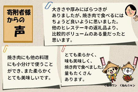 【訳あり】佐賀牛ヒレ焼き肉用600g (H065139)