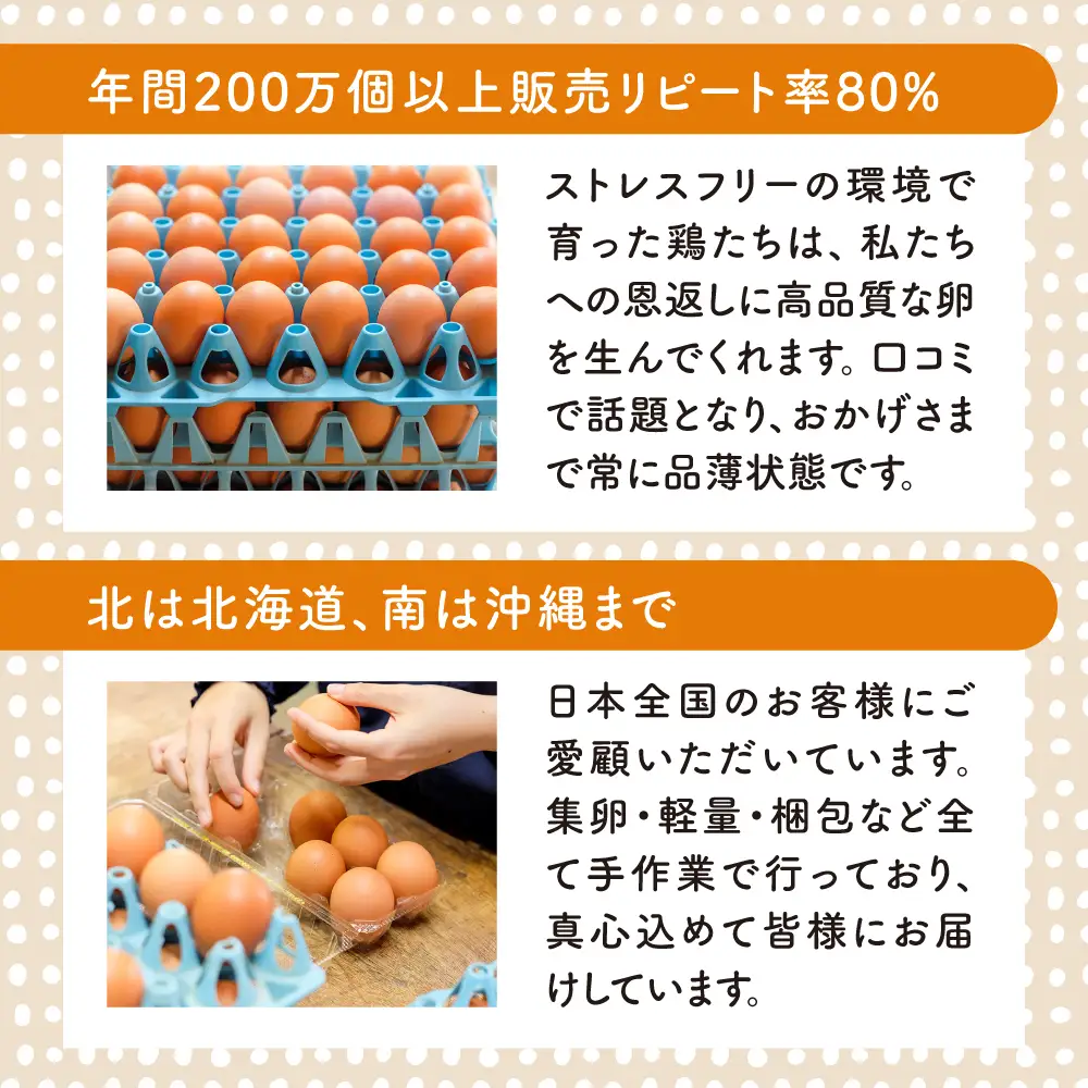 【プリップリな卵黄！】つまんでご卵 40個セット 卵 たまご 糸島 / 緑の農園 [AGA011] ランキング 上位 人気 おすすめ 生卵 鶏卵
