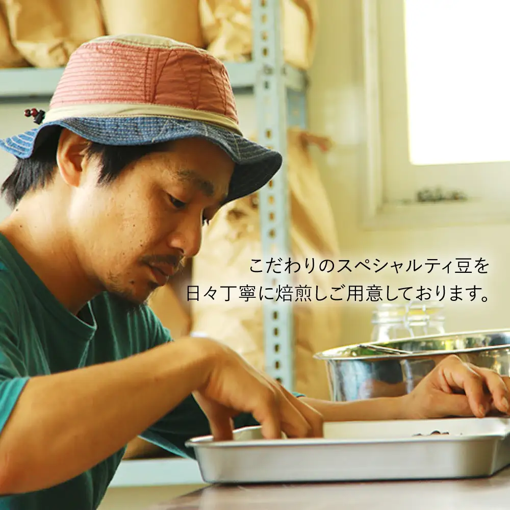 アイスコーヒー ゲイシャ種 3本 セット 糸島市 / Petani coffee [ALC009]