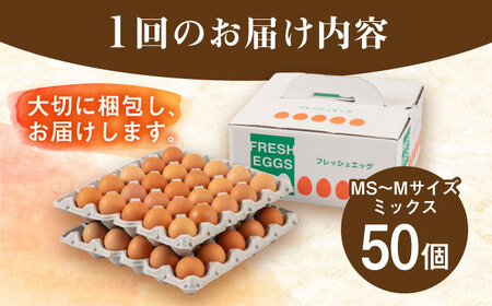 【全3回定期便】【50個×3ヶ月】黄身にコク！白身に甘み！てつやとのりこの玉子 板垣ファーム [AWD007]
