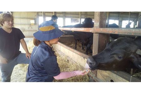 数量限定「下野牛」牛小間切600g（300gｘ2）F7Z-139