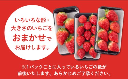 【先行予約】【2027年1月以降発送】いちごさん 900g / いちご [IAA022]