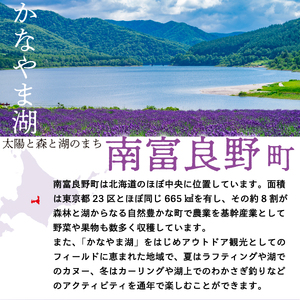 2026年夏発送  JAふらの厳選！ふらの 赤肉 メロン 2kg×2玉  メロン めろん 富良野メロン 果物 くだもの フルーツ 富良野 デザート 北海道 贈り物 ギフト 果物類 メロン赤肉 赤肉メロン 