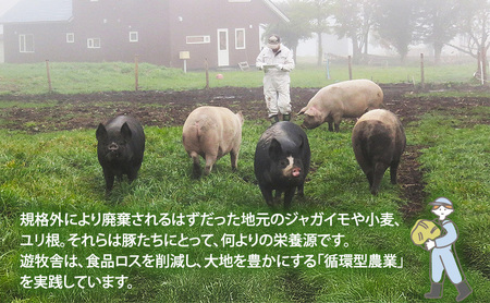 北海道十勝の放牧豚”遊ぶた”大きなヒレカツ用640gセット お肉 豚肉 とんかつ 