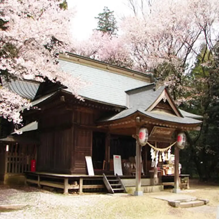 千年の歴史を体感できるタイムスリップ 神前式 「 万葉婚 」 結婚式 撮影 記念 写真 ウェディング ブライダル [AH053sa]