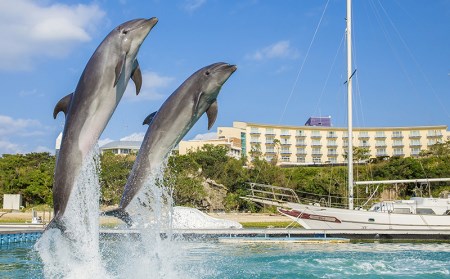 【マリンピアザオキナワ】フリッパーズルーム1泊夕・朝食付　ペア宿泊券 リゾート 
