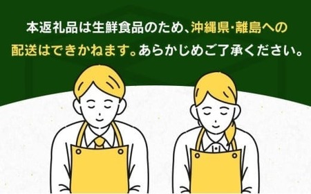 みやざき 完熟マンゴー 3L × 1玉 期間限定 数量限定 マンゴー 宮崎 フルーツ 果物 くだもの 国産 食品 先行予約 2026 令和8年発送 濃厚 デザート おやつ おすすめ 冷蔵 ご褒美 贅沢 おすそわけ ギフト 贈り物 贈答 日南市 送料無料_BB145-24