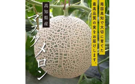 《6ヶ月定期便》“高知県産”高級マスクメロン（ご贈答・ギフト用）1玉入【発送期間：4月～12月（9カ月）】【1月～3月は気候温度不安定の為出荷不可となります。】