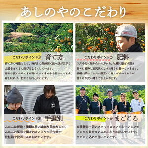 ZE6177n_【2027年先行予約】和歌山県産 有田の 不知火(しらぬひ) 4kg (S～3Lサイズ混合)【まごころ手選別】