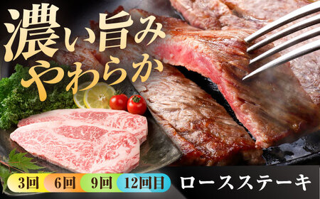 【12回定期便】佐賀牛 定期便 / 牛肉 [IAG076]