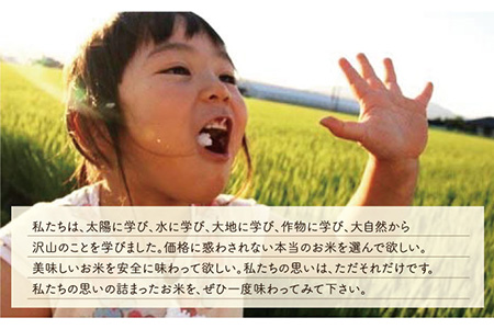 【R5年産】学のひのひかり 10kg（玄米） / お米 [IBL007]