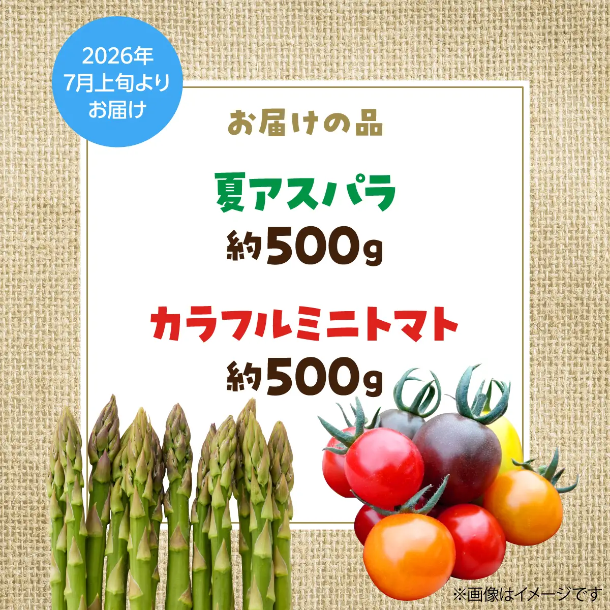 ＜2026年7月上旬よりお届け＞北海道壮瞥町産　大作農園「夏アスパラとカラフルミニトマト」のセット約1kg 先行予約 SBTR004