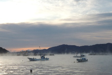 海鮮 魚介 専門問屋が送る 三陸 天然 アワビ (4個入) [マルヤ五洋水産 宮城県 南三陸町 30al0001]