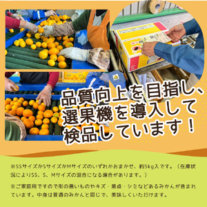 ZJ6081_【2026年先行予約】【ご家庭用】和歌山 有田みかん 約5kg (SS、S、Mサイズ)【湯浅町】