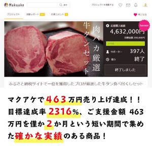 牛タン中焼肉、新食感牛タンハンバーグセット 牛タン 牛タンセット 牛たん