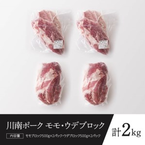 宮崎県産豚肉川南ポーク モモ・ウデブロック合計2kg 豚肉