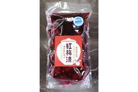 【数量限定】紅梅漬（甘梅漬け）280g [池田町観光協会 長野県 池田町 48110407]
