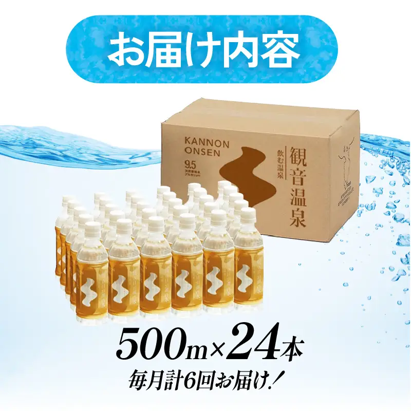 飲む温泉　観音温泉　500ml　(24本入)　1ケース　定期便　6ヶ月　毎月