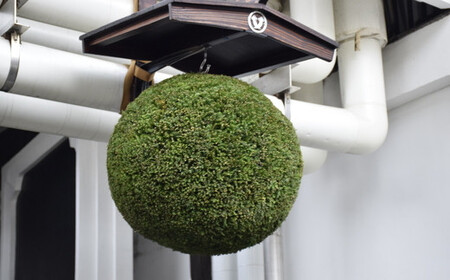 日本酒 浦霞 生一本・原酒セット　【04203-0423】