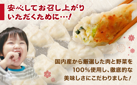 餃子 こだわり本格 生餃子 80個 (20個×4袋)