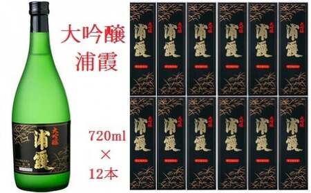 日本酒 【塩竈】浦霞 大吟醸　１ダース　【04203-0009】 日本酒 日本酒 日本酒