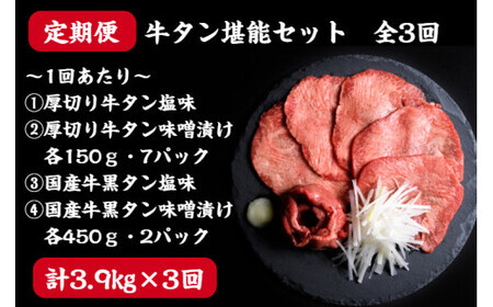 【定期便】牛タン 仙台名物 厚切り 牛たん 堪能贅沢 セット（全3回の定期便）　【04203-0417】