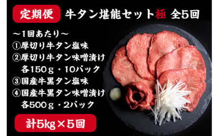 【定期便】牛タン 仙台名物 厚切り 牛たん 堪能贅沢 セット・極（全5回の定期便）　【04203-0421】