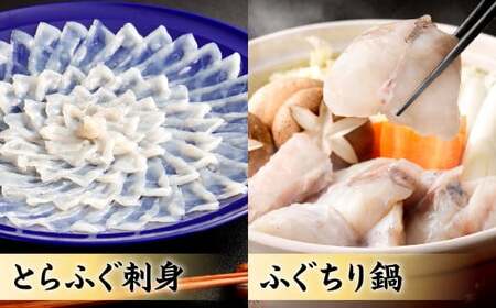 【指定日必須】豪華 とらふぐ三昧セット (刺身・鍋4～5人前)