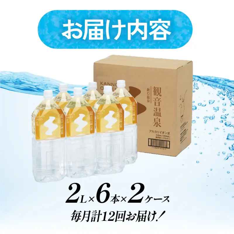 飲む温泉観音温泉2L(6本入)2ケース定期便1年間（毎月）