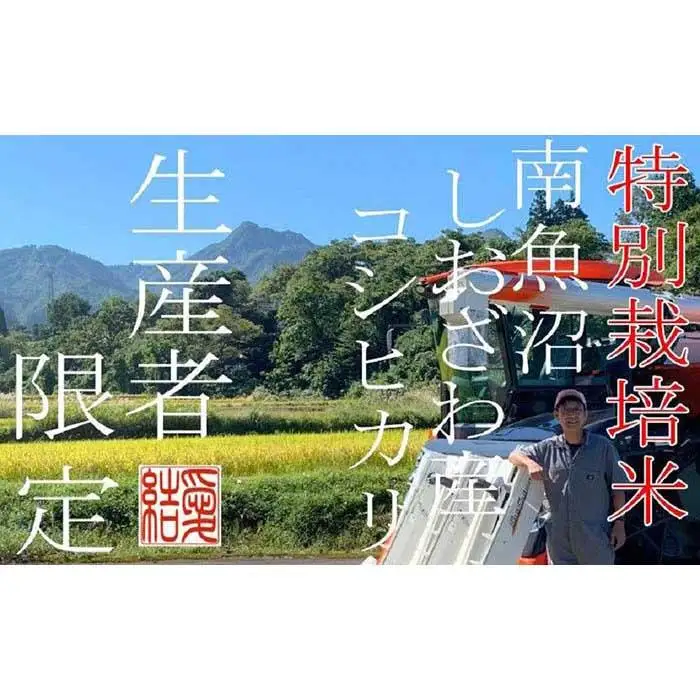 【令和7年産】【定期便2Kg×6ヶ月】【特別栽培米】 契約生産者限定  南魚沼しおざわ産コシヒカリ【定期便 銘柄米 ブランド米 精米 こしひかり コシヒカリ 魚沼産 新潟米 産地直送 お米 米 こめ コメ ご飯 御飯 ごはん】