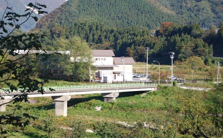 【みうら食品】山形そば屋の鳥中華 20食入 そば 山形そば ラーメン スープ付き 麺 グルメ 料理 中華 送料無料 ふるさと納税 F2Y-5577
