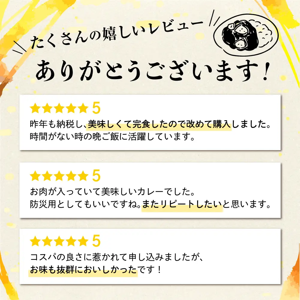 【ふるなび限定】飛騨牛カレー13袋 訳あり |  ビーフ レトルト 訳あり ふるさと清見 DC006-CP01　FN-Limited-VO