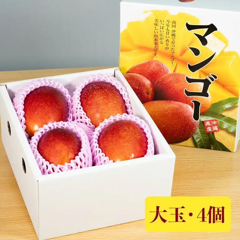 【 先行予約 2026年 発送 】 優秀賞受賞のかしみ園 アップルマンゴー 2kg 沖縄県産 マンゴー アーウィンマンゴー 2キロ 国産 完熟マンゴー 果物 南国 くだもの フルーツ 完熟 夏 旬 特産品 沖縄 お取り寄せ 産地直送 農家直送 甘い 濃厚 糸満市 18-4