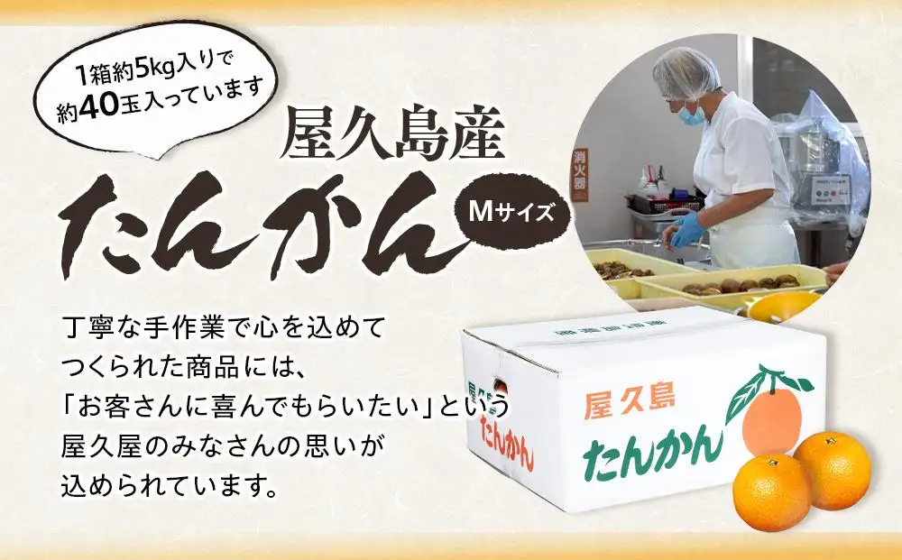 ＜先行予約／数量限定＞屋久島産たんかん 約5kg（Mサイズ／約40玉）【2027年2月中旬以降お届け】