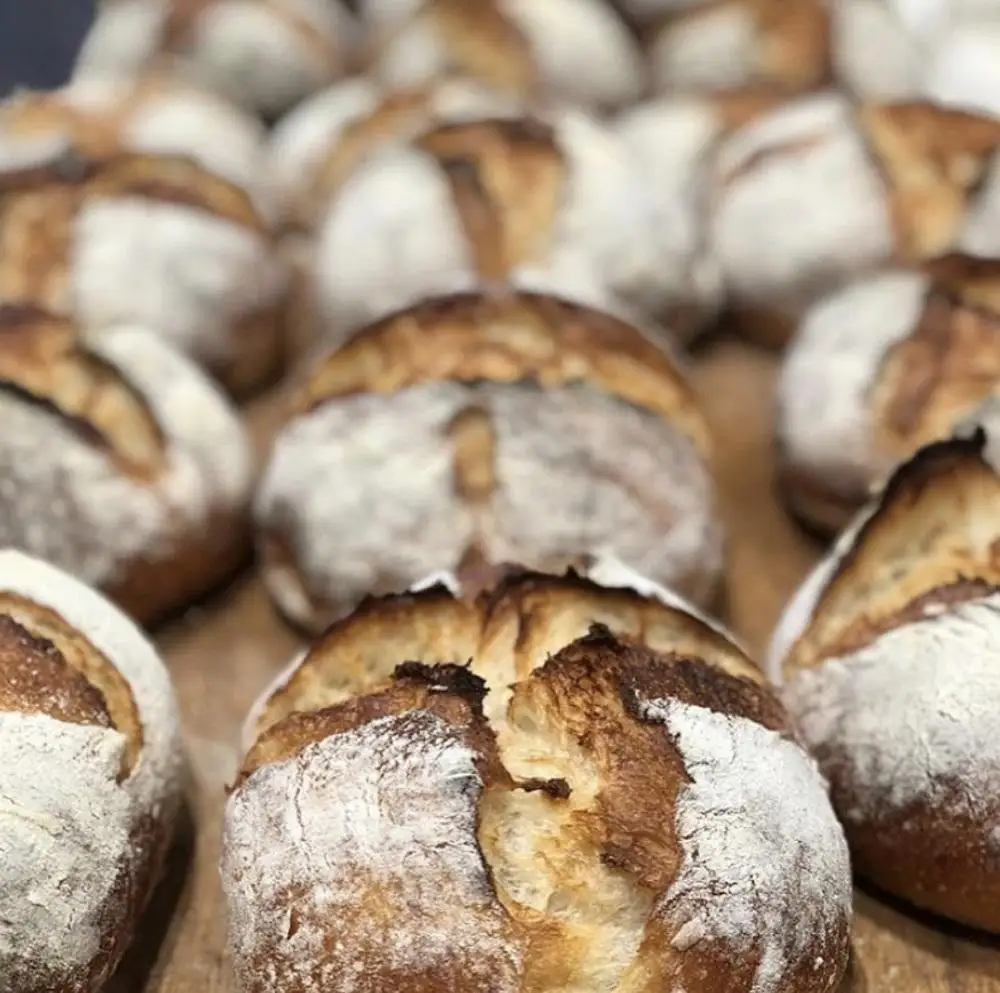 バカンス ファミリー朝食パンセット 4名様3日分 パンパンパンパン