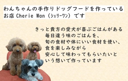 ドッグフード 【ペット食育士監修】 日向市産の野菜をたっぷり使った 手作り ドッグフード (4種×各1個) [ウィズ・クリエイティブ 宮崎県 日向市 452060821]