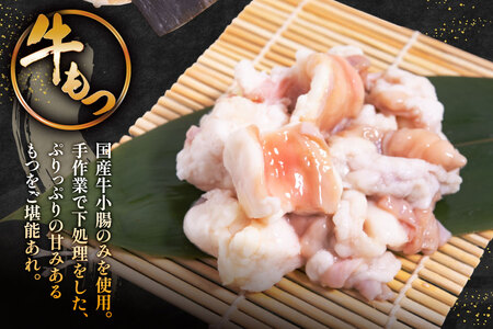 【老舗人気店】博多本格もつ鍋 2～3人前 [博多もつ鍋 太閤 福岡県 筑紫野市 21760393]