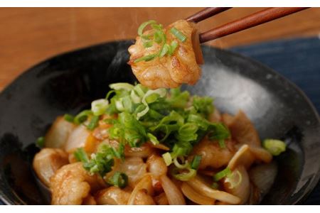 嘉穂牛 ホルモン 約800g ブランド牛