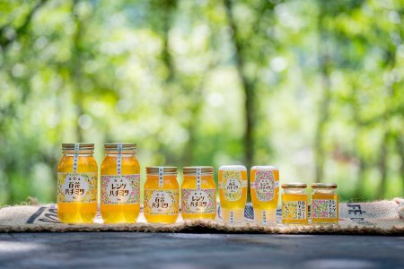 辻養蜂場 百花蜜 300g×2 合計600g 純粋はちみつ 蜂蜜