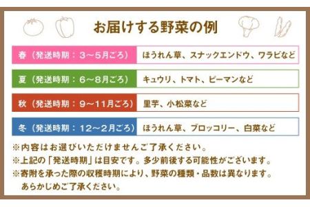 旬を感じるお野菜 定期便 年4回 季節 野菜セット