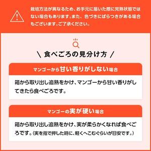 【令和8年発送】宮崎マンゴー 太陽の子６玉（2.7kg以上） 果物 フルーツ マンゴー