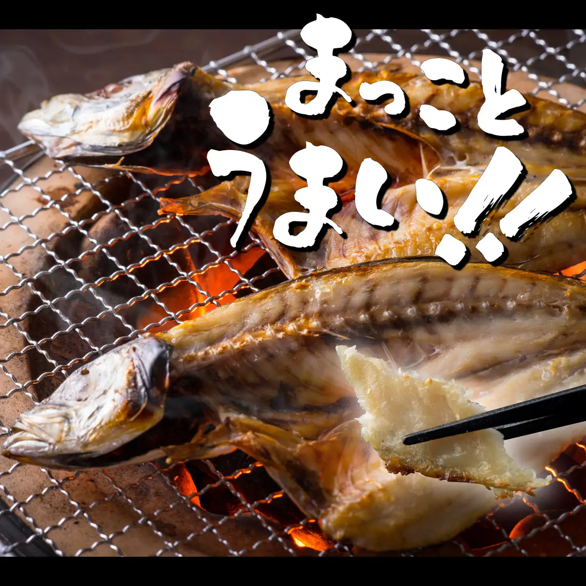 【定期便】いずま海産の鯵干物頒布会【3回お届け】干物