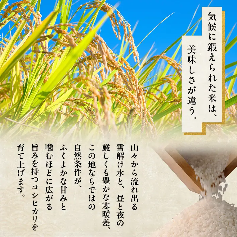 【特別栽培米】魚沼産コシヒカリ（精米）5kg