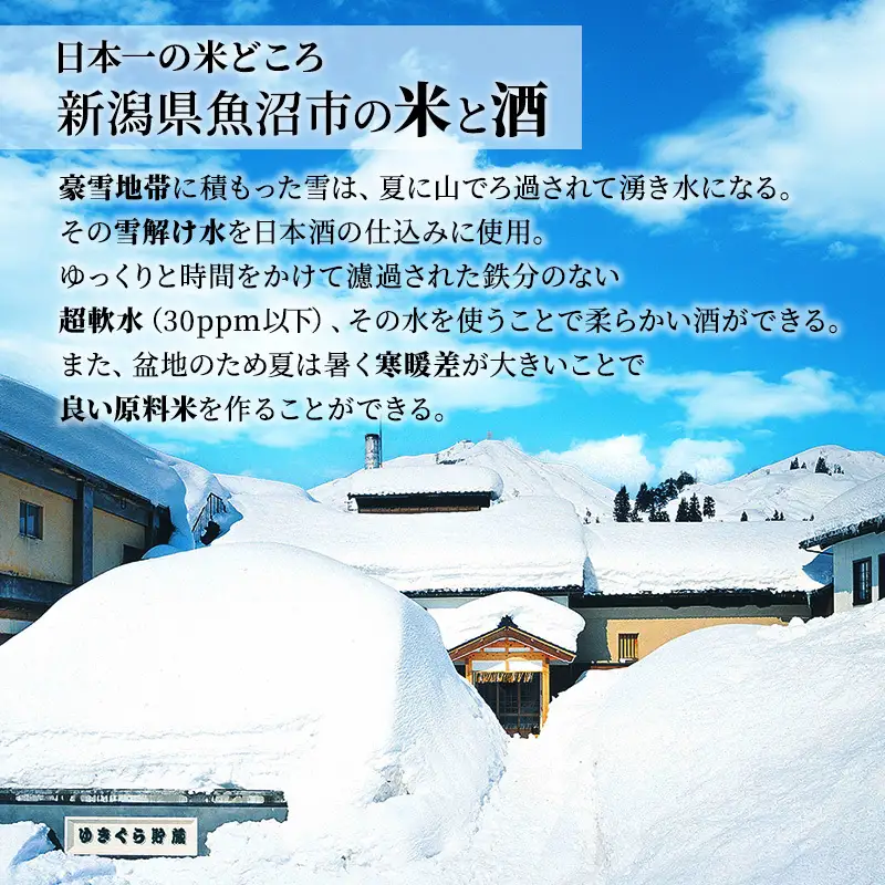 【最高金賞受賞・一般販売なし・ふるさと納税限定版】 吟醸 玉風味 1800ml 2本 セット 新潟県 